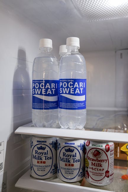 Large Refrigerator with Freezer