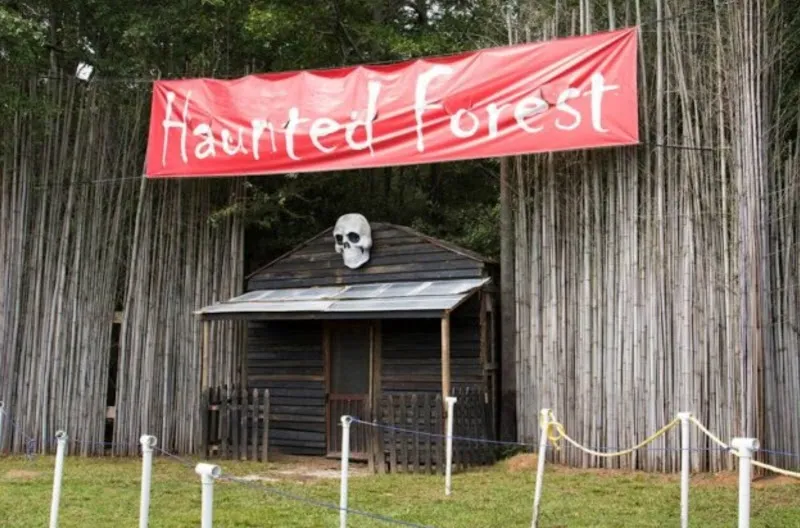 Haunted Forest entrance with red banner, skull, wooden shack, and bamboo backdrop.
